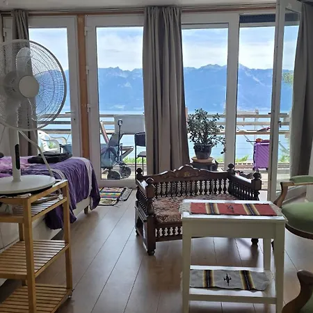 Loft Duplex A Entre Vignes Et Vue Sur Le Leman *