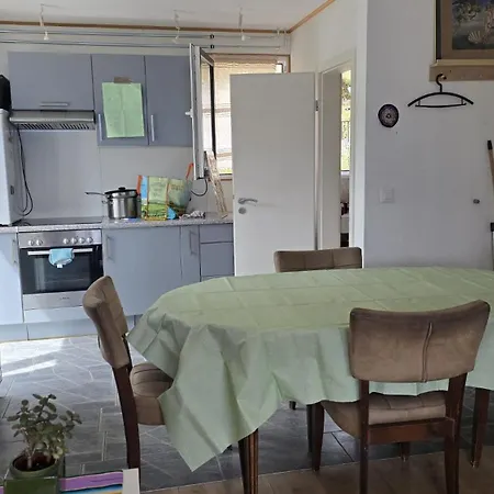 Loft Duplex A Entre Vignes Et Vue Sur Le Leman شقة غراندفو