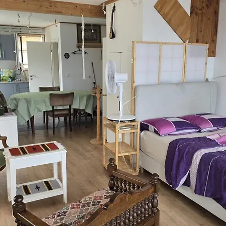 Loft Duplex A Entre Vignes Et Vue Sur Le Leman شقة غراندفو