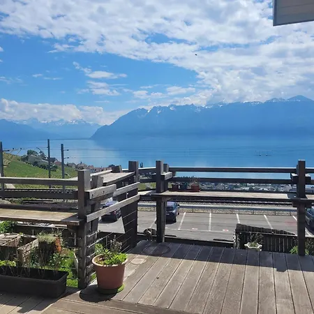Loft Duplex A Entre Vignes Et Vue Sur Le Leman