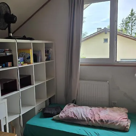 شقة Loft Duplex A Entre Vignes Et Vue Sur Le Leman *